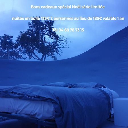 Labastide-en-Val Relais De L'Alsou- Piscine Bed & Breakfast エクステリア 写真
