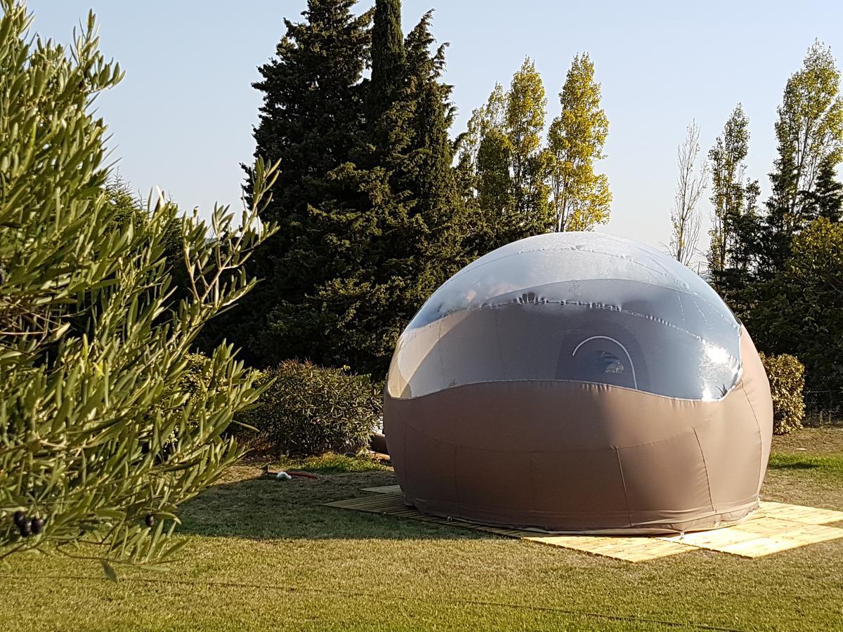 Labastide-en-Val Relais De L'Alsou- Piscine Bed & Breakfast エクステリア 写真