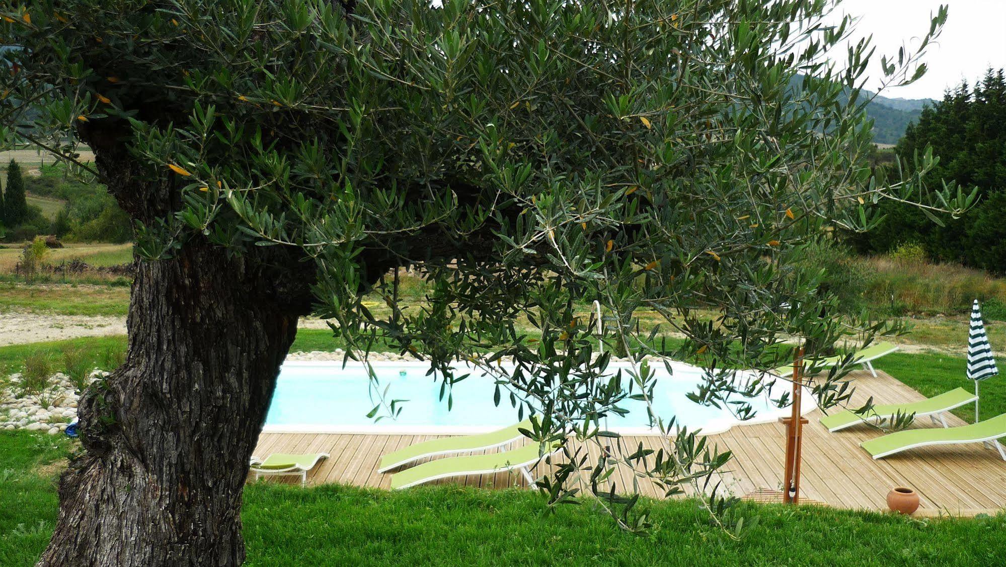 Labastide-en-Val Relais De L'Alsou- Piscine Bed & Breakfast エクステリア 写真