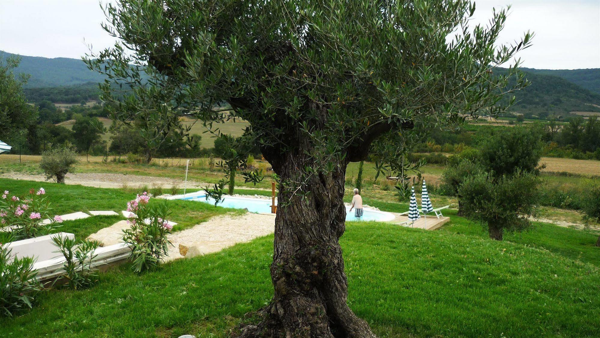 Labastide-en-Val Relais De L'Alsou- Piscine Bed & Breakfast エクステリア 写真