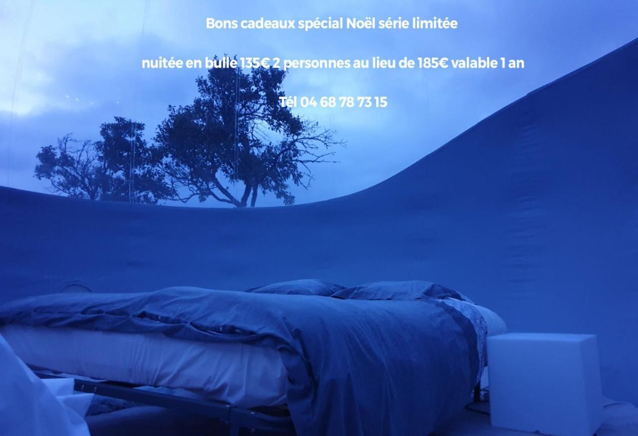 Labastide-en-Val Relais De L'Alsou- Piscine Bed & Breakfast エクステリア 写真